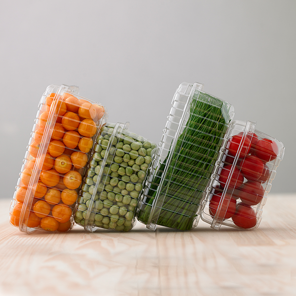 Categorias - DarnelShop